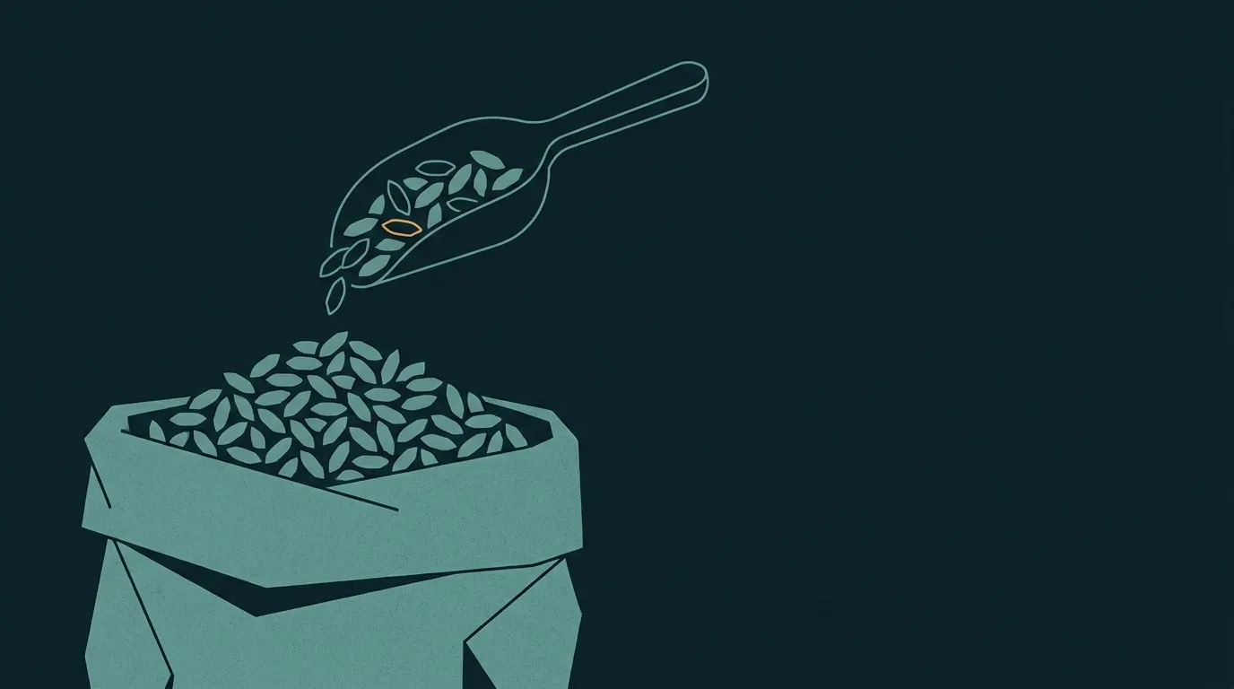 A scoop lifting a sample of grain from a sack, a few grains hollow and one marked amber: judging followers by a sample
